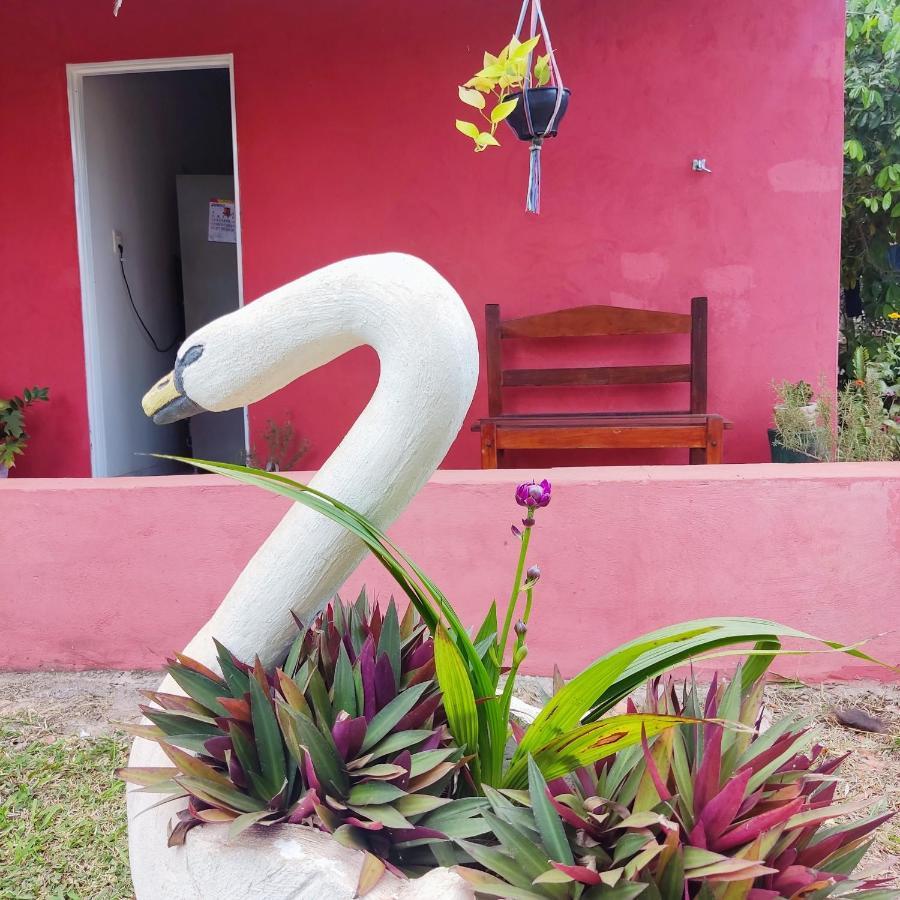 Espaco Slow Living Flor Do Pantanal Piraputanga 외부 사진